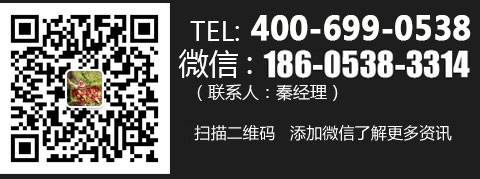 掃一掃,加微信
